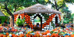 Dallas Arboretum Pumpkin Village