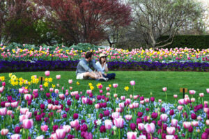 Dallas Blooms 2024