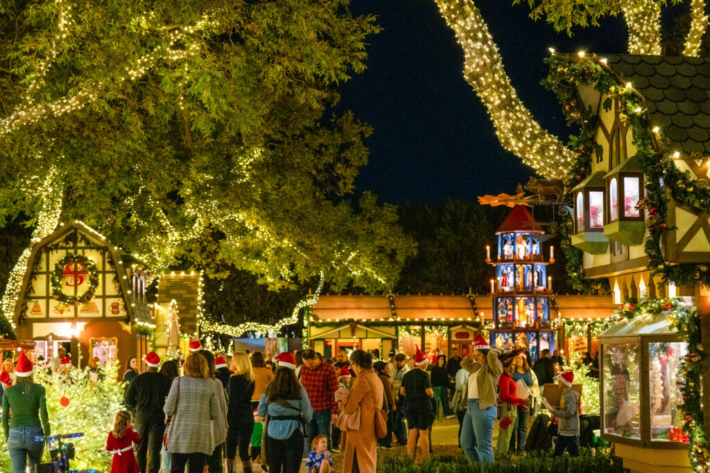 Holiday at the Arboretum